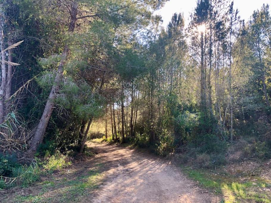 Apartment In Country House With Views And Pool Vespellá エクステリア 写真